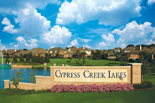 Photo of Cypress
