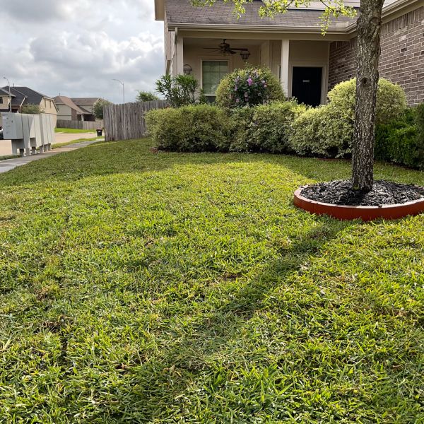 New-Ground-Services_Landscaping-in-Houston-219