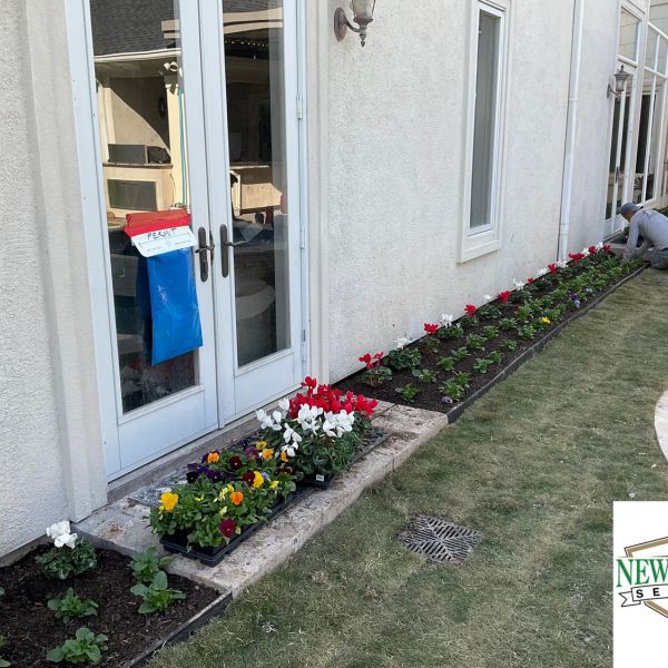 New-Ground-Services_Landscaping-in-Houston-198