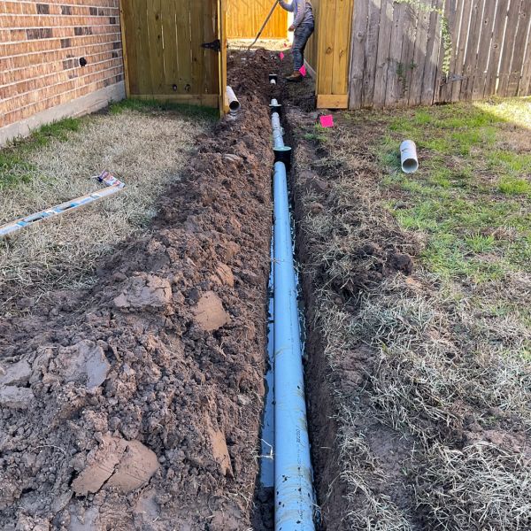 New-Ground-Services_Landscaping-in-Houston-307