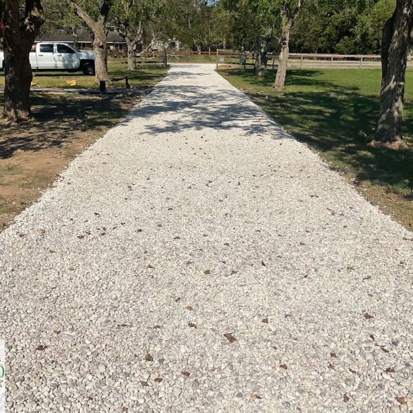 New-Ground-Services_Landscaping-in-Houston-066