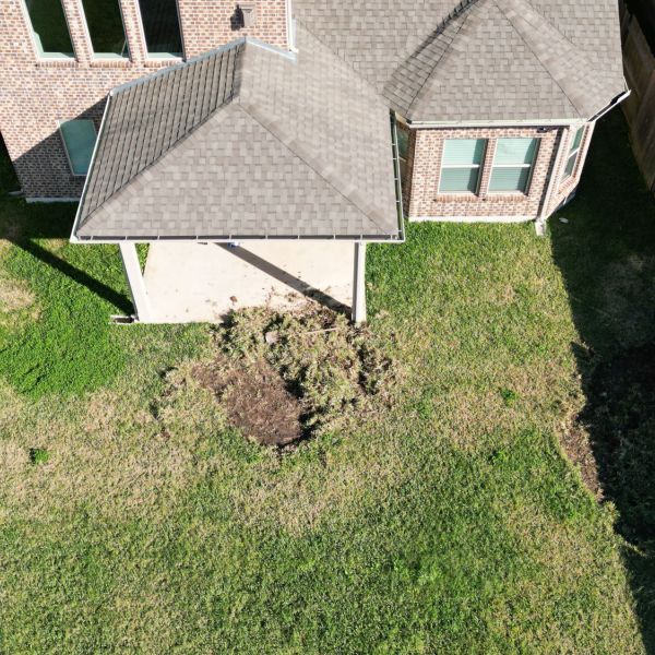 New-Ground-Services_Landscaping-in-Houston-349