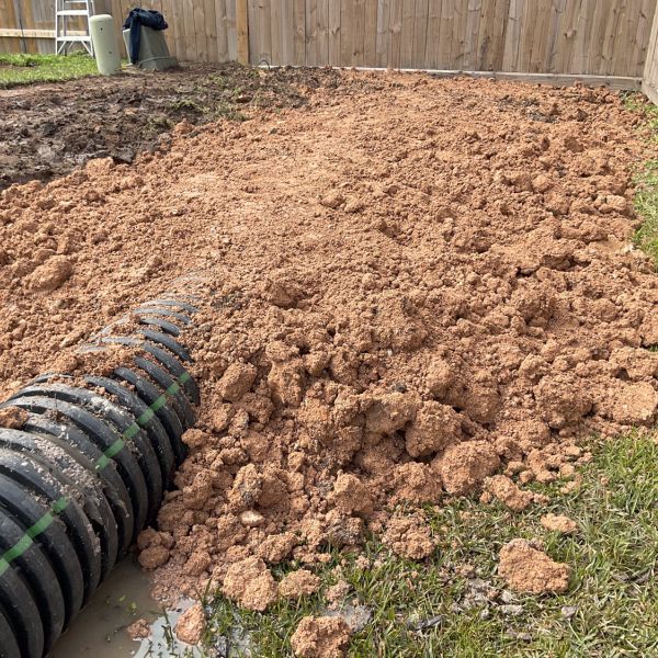 New-Ground-Services_Landscaping-in-Houston-250