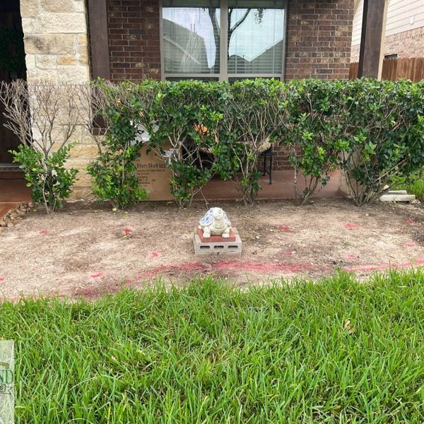 New-Ground-Services_Landscaping-in-Houston-038