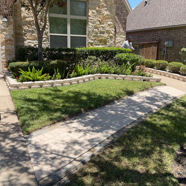 New-Ground-Services_Landscaping-in-Houston-367