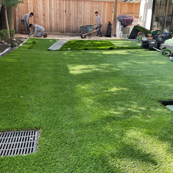 New-Ground-Services_Landscaping-in-Houston-406