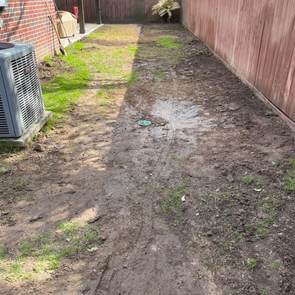New-Ground-Services_Landscaping-in-Houston-300
