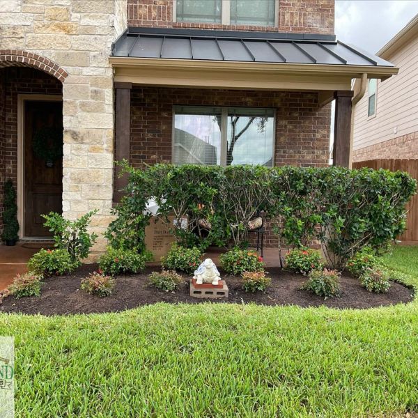 New-Ground-Services_Landscaping-in-Houston-037