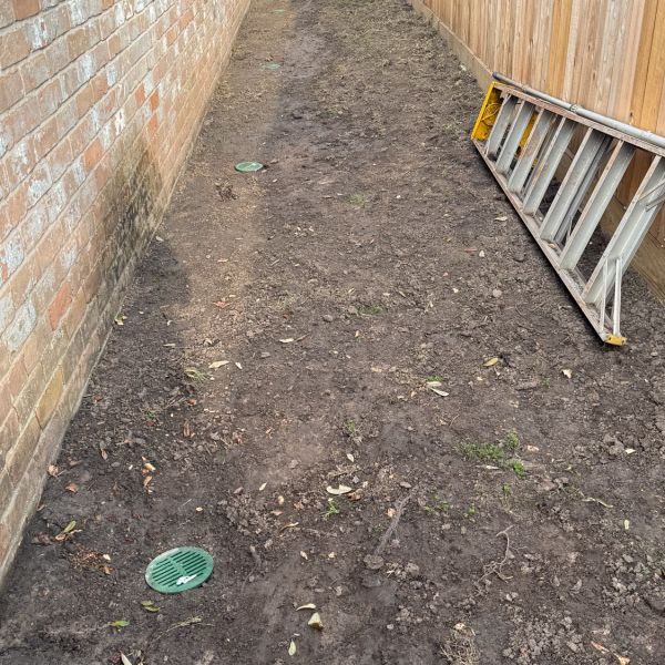 New-Ground-Services_Landscaping-in-Houston-297