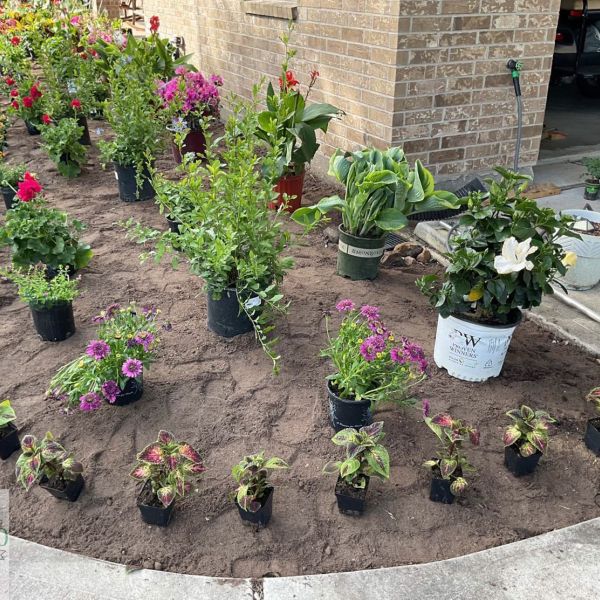 New-Ground-Services_Landscaping-in-Houston-043