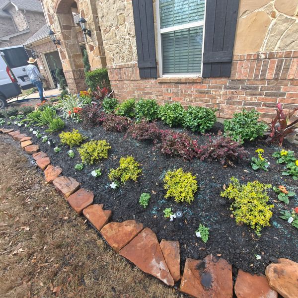 New-Ground-Services_Landscaping-in-Houston-427