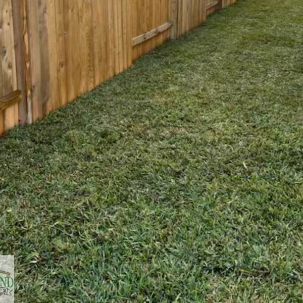 New-Ground-Services_Landscaping-in-Houston-068