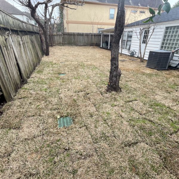 New-Ground-Services_Landscaping-in-Houston-296