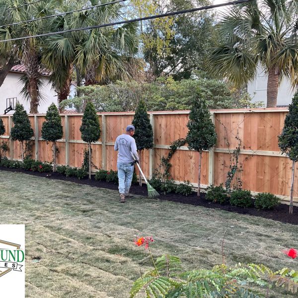 New-Ground-Services_Landscaping-in-Houston-002