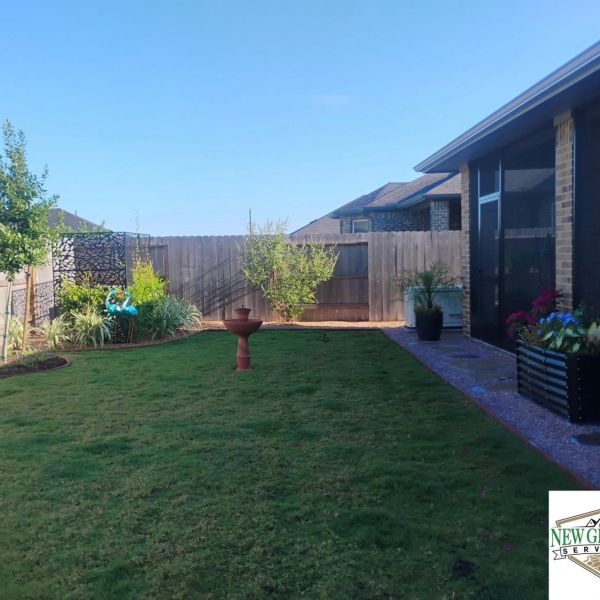 New-Ground-Services_Landscaping-in-Houston-017