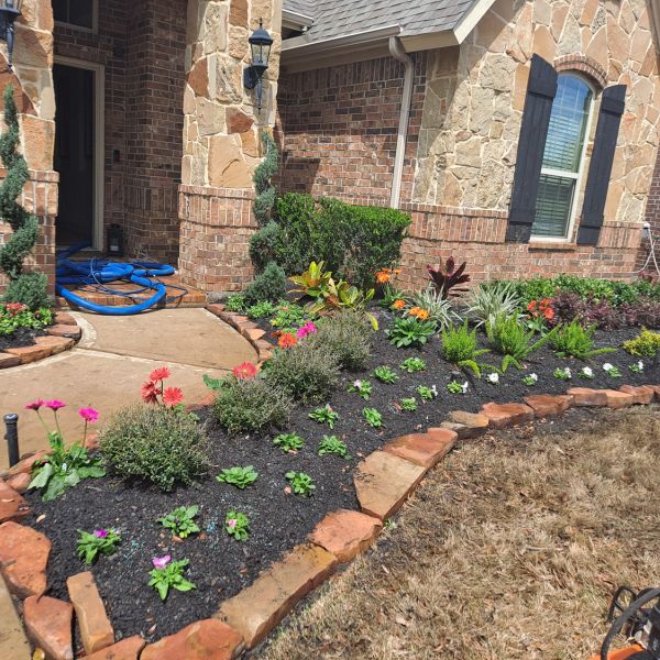 New-Ground-Services_Landscaping-in-Houston-428