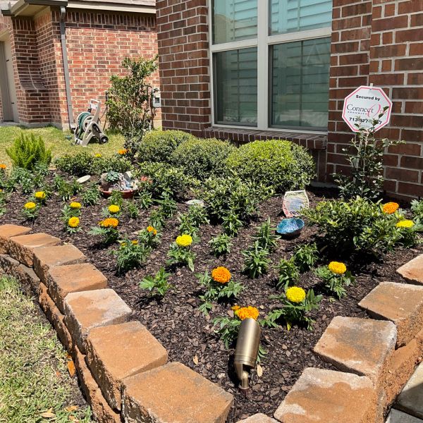 New-Ground-Services_Landscaping-in-Houston-384