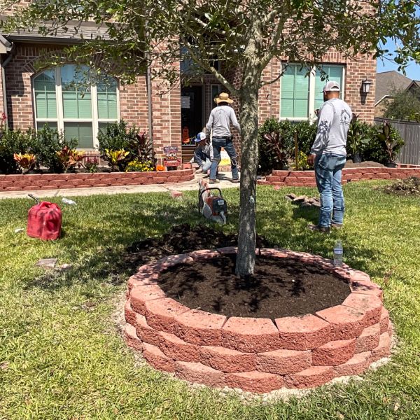 New-Ground-Services_Landscaping-in-Houston-415
