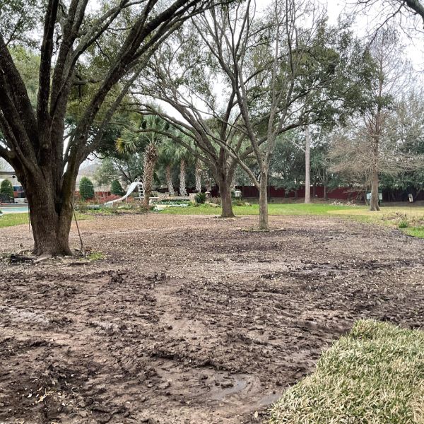 New-Ground-Services_Landscaping-in-Houston-393