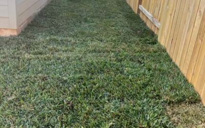 Commercial Sod Installation