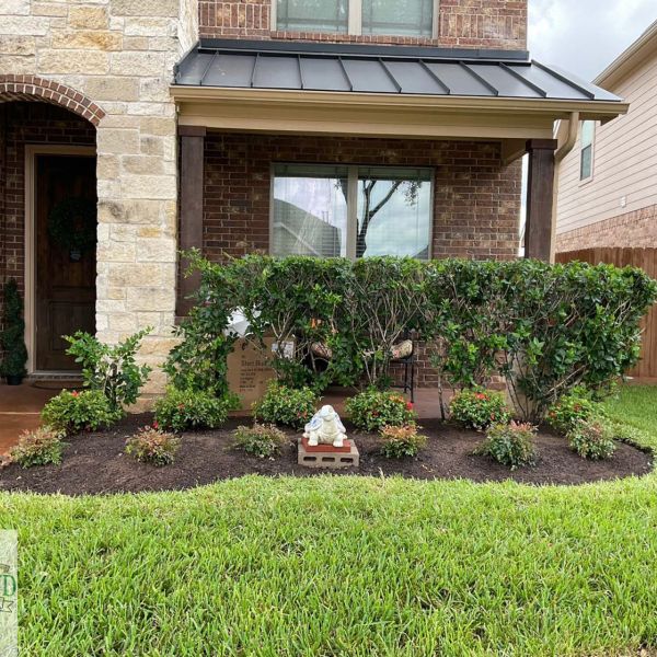 New-Ground-Services_Landscaping-in-Houston-103