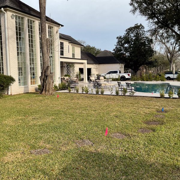 New-Ground-Services_Landscaping-in-Houston-246