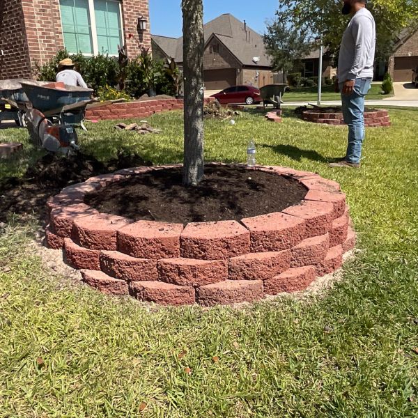 New-Ground-Services_Landscaping-in-Houston-416