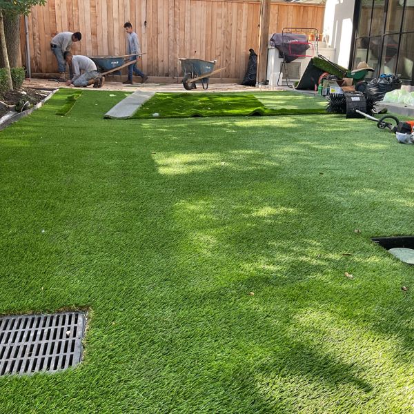 New-Ground-Services_Landscaping-in-Houston-405