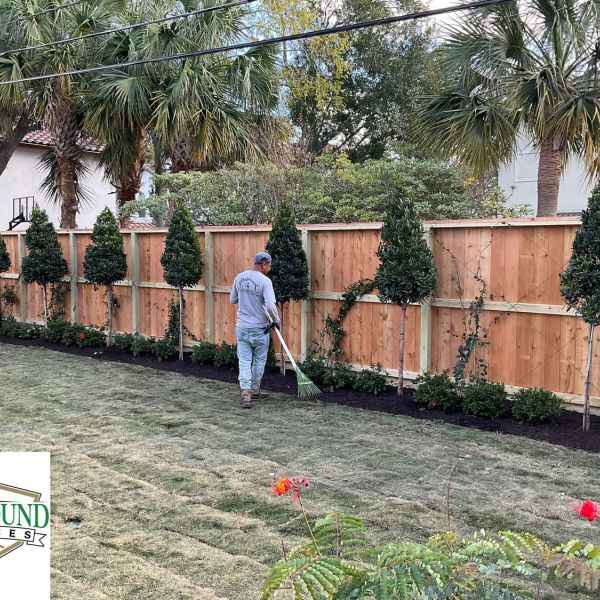 New-Ground-Services_Landscaping-in-Houston-202