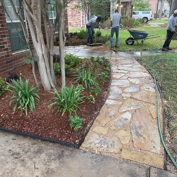 New-Ground-Services_Landscaping-in-Houston-382
