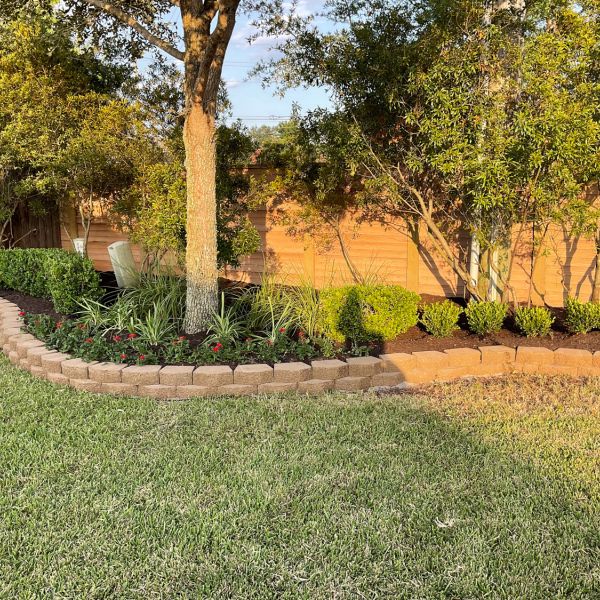 New-Ground-Services_Landscaping-in-Houston-373