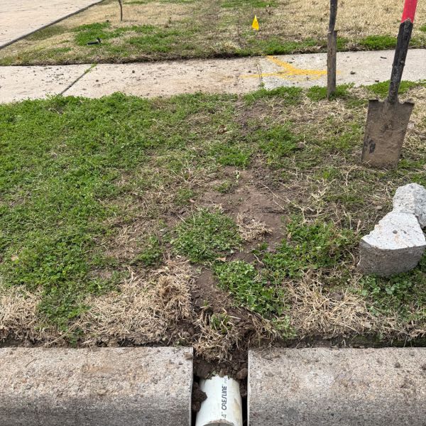 New-Ground-Services_Landscaping-in-Houston-301