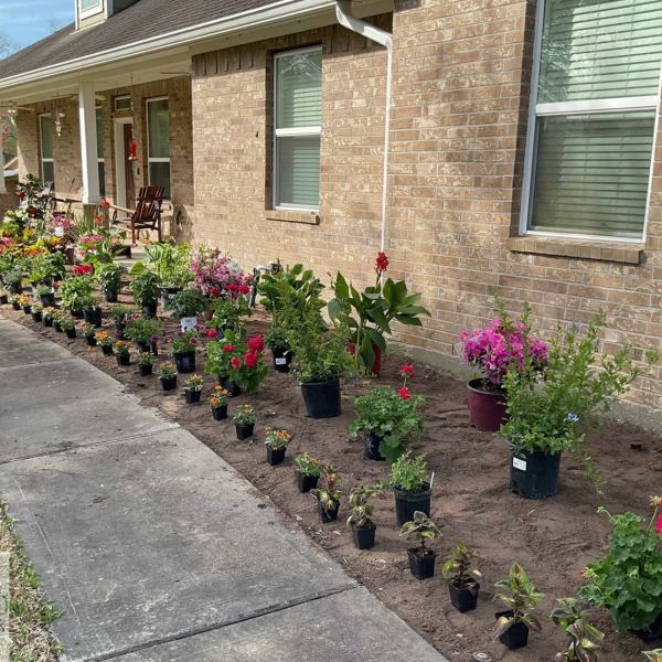 New-Ground-Services_Landscaping-in-Houston-033