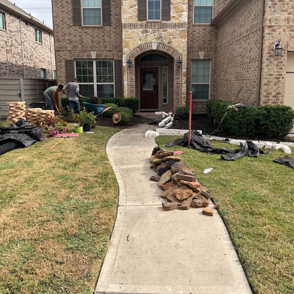 New-Ground-Services_Landscaping-in-Houston-212