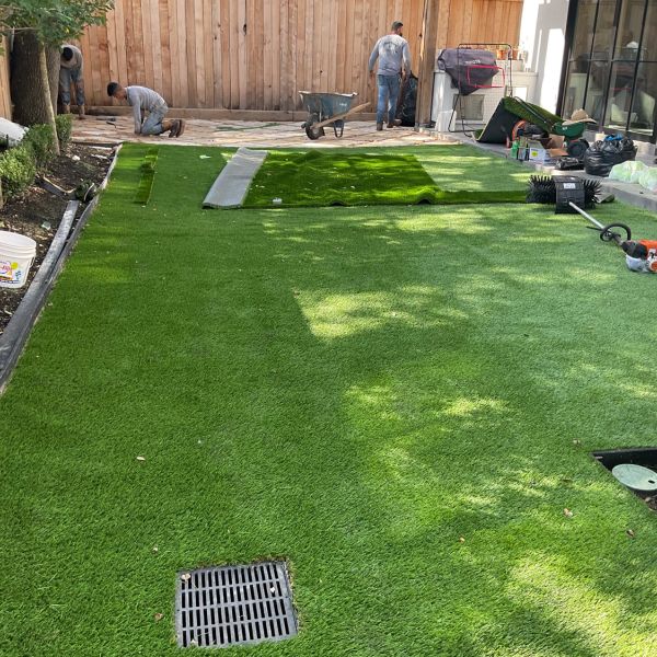 New-Ground-Services_Landscaping-in-Houston-408