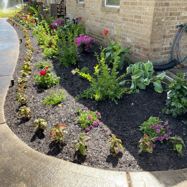 New-Ground-Services_Landscaping-in-Houston-227