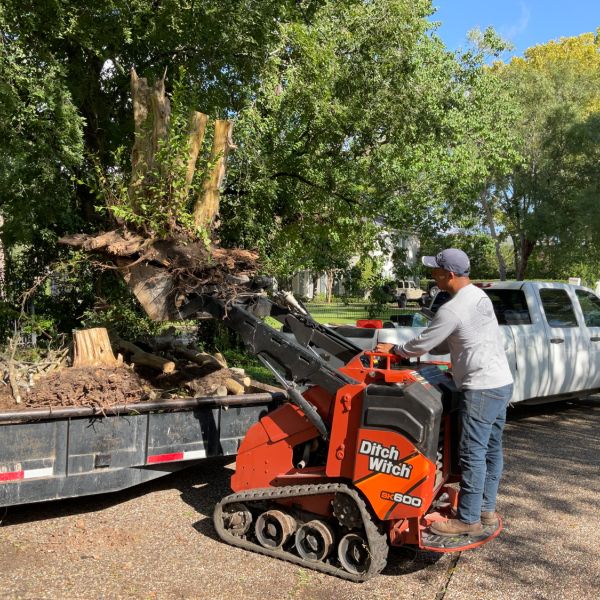 New-Ground-Services_Landscaping-in-Houston-354