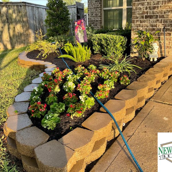 New-Ground-Services_Landscaping-in-Houston-001