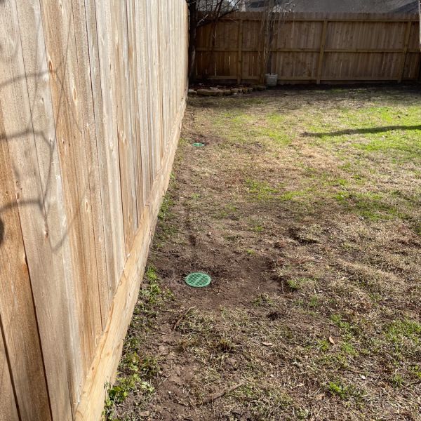 New-Ground-Services_Landscaping-in-Houston-305