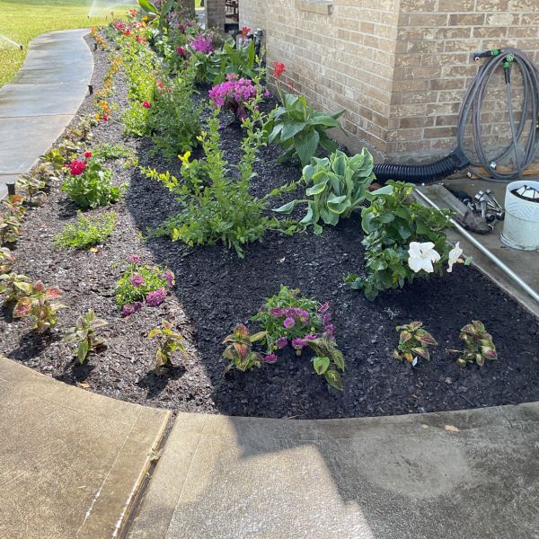 New-Ground-Services_Landscaping-in-Houston-228