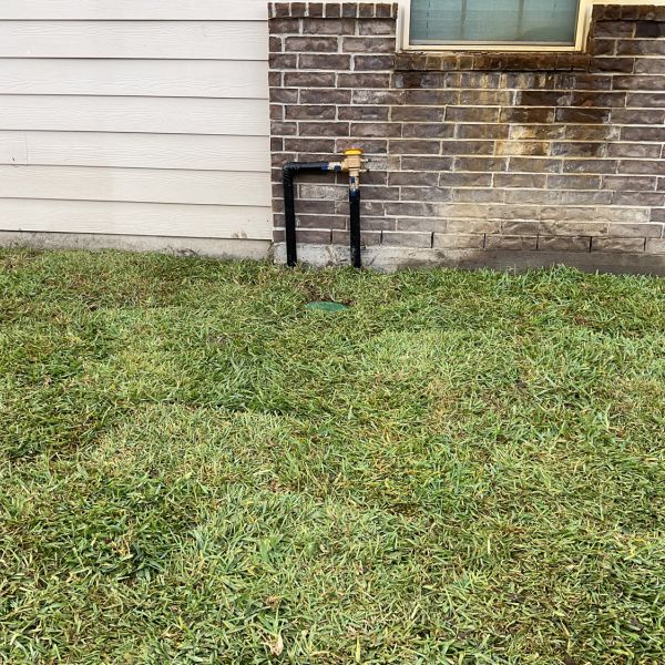 New-Ground-Services_Landscaping-in-Houston-217