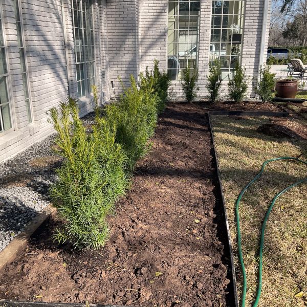 New-Ground-Services_Landscaping-in-Houston-239