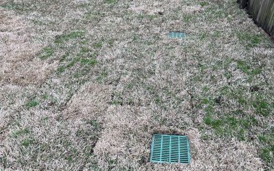 Commercial Drainage Repairs