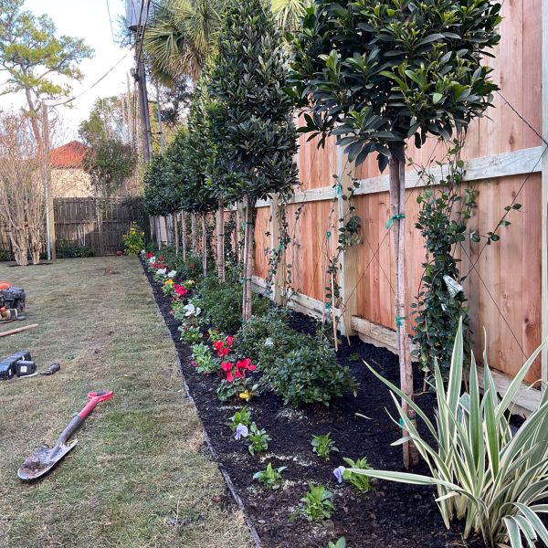 New-Ground-Services_Landscaping-in-Houston-397