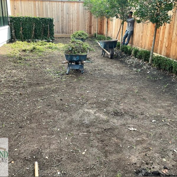New-Ground-Services_Landscaping-in-Houston-311