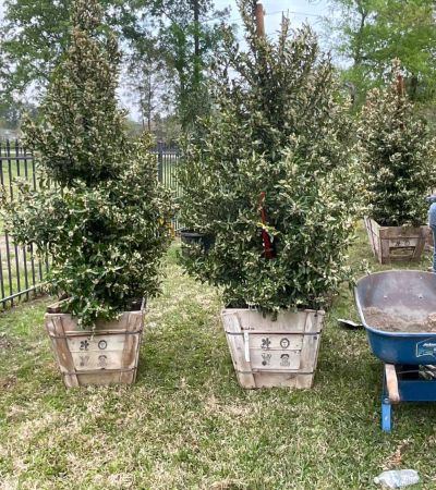 Commercial Landscape Installation