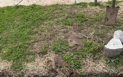 Commercial Drainage Installation