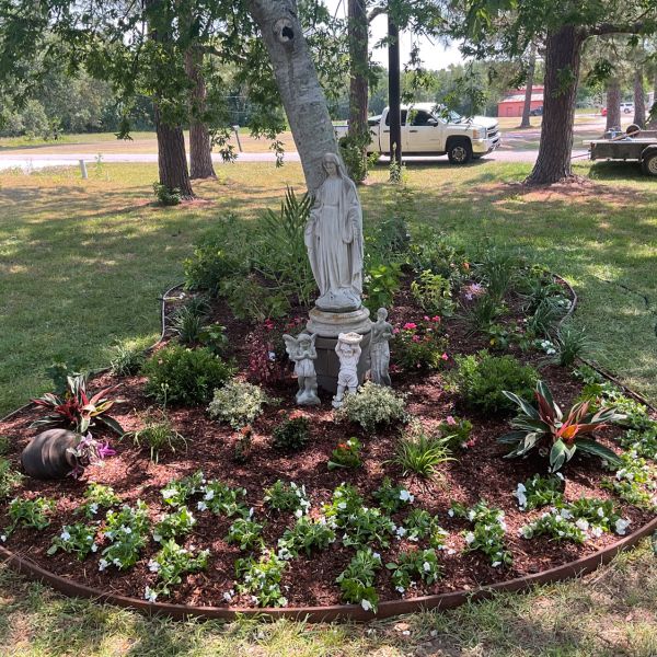 New-Ground-Services_Landscaping-in-Houston-362