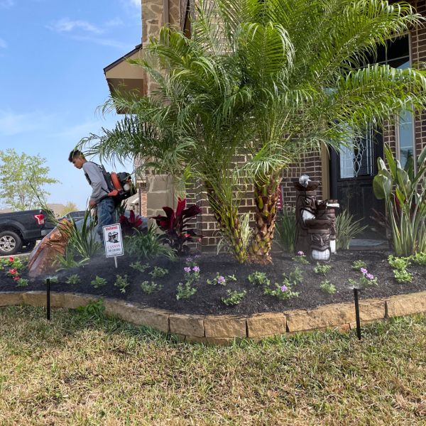 New-Ground-Services_Landscaping-in-Houston-422