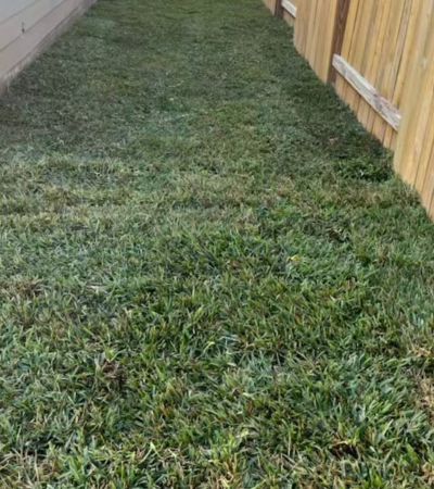 Commercial Sod Installation